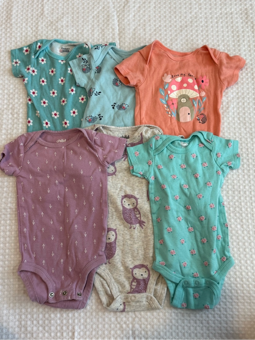 Bundle of 6 3-6m Short Sleeve Bodysuits